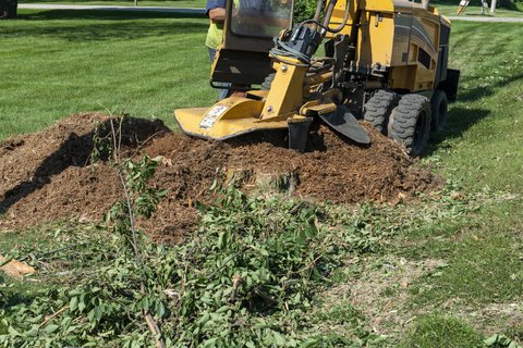 Stump grinding